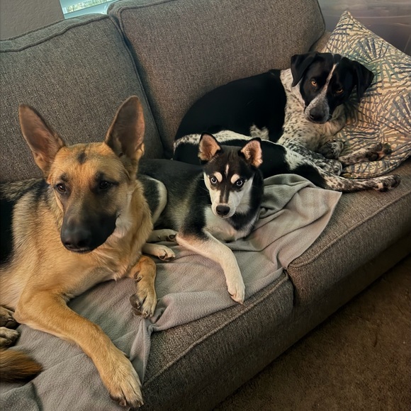 @msmic123 Share Show Flyer - Picture 4 of 14